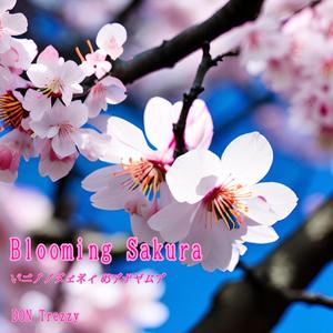 Blooming Sakura