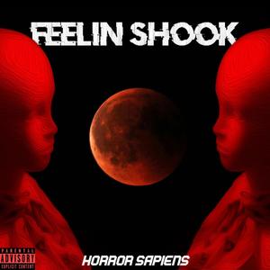 Feelin' Shook (Explicit)