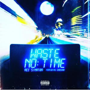 Waste No Time (feat. Garshar)