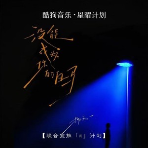 没能成为你的白马封面
