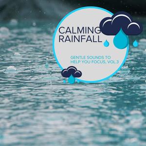 Calming Rainfall - Gentle Sounds to Help You Focus, Vol.3