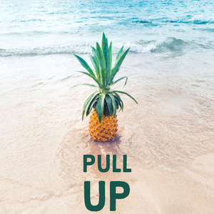 P U L L U P (Explicit)