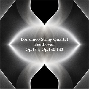 String Quartet No. 14 in C-Sharp Minor, Op. 131 - I. Adagio ma non troppo e molto espressivo