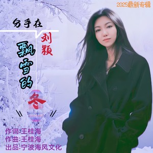 分手在飘雪的冬