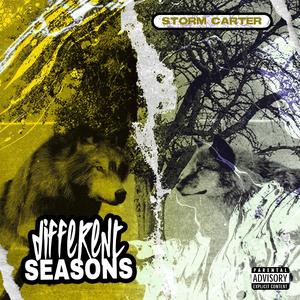 Different Seasons (feat. Foran3x) (Explicit)