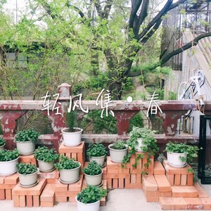 程天意 - spring (Demo)