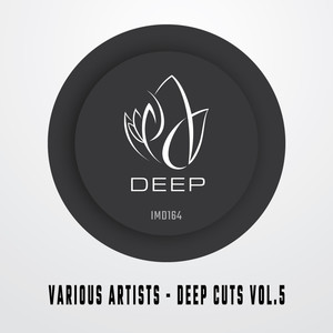 Innocent Music Deep Cuts, Vol. 5