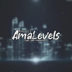 AmaLevels (feat. Sax Wayyy012)