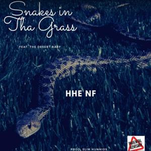 Snakes n Tha Grass (feat. Desert Baby) [Explicit]