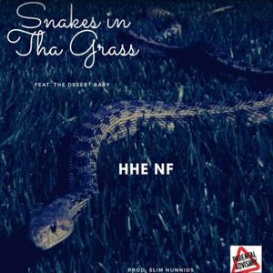 Snakes n Tha Grass(feat. Desert Baby) (Explicit)