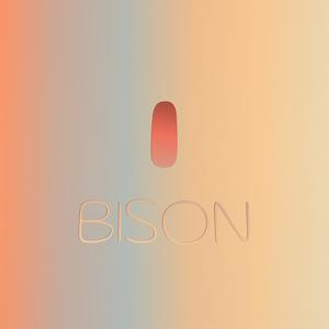 I Bison