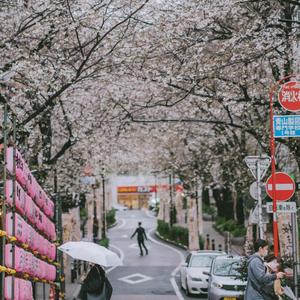 CH3RRY (feat. BlvckProfessor)