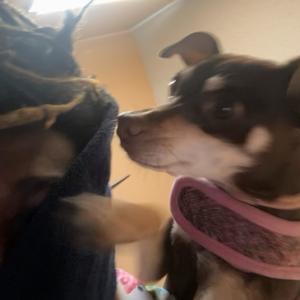 i choose violence (feat. needmysleep) (Explicit)