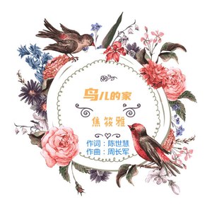 鸟儿的家