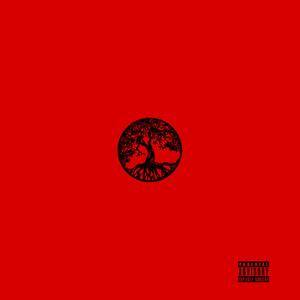 Aura (feat. Damnagedkids) (Explicit)