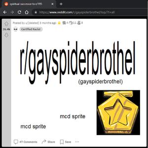 r/gayspiderbrothel (Explicit)