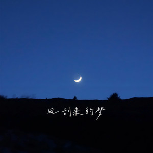 风刮来的梦
