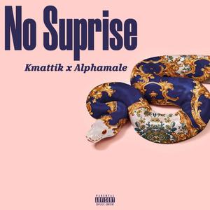 No Suprise (feat. Alphamale) [Explicit]