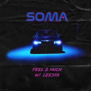 FEEL2MUCH (feat. Leesta) (Explicit)