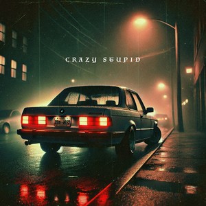 Crazy Stupid (Explicit)