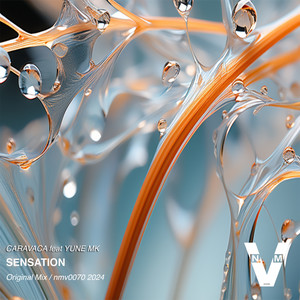 Sensation