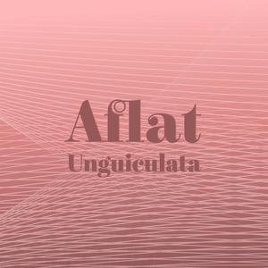 Aflat Unguiculata