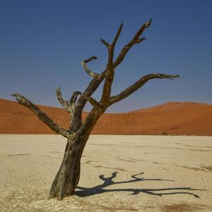 The Waiter (feat. Peter Anguria)