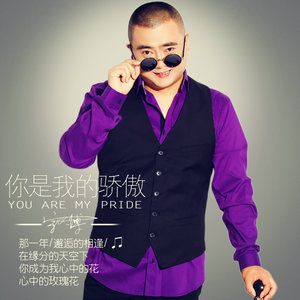 宗义博 - 你是我的骄傲