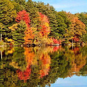 Autumn Shoreline