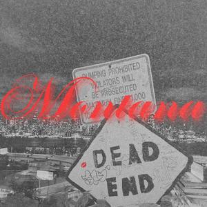 Montana (feat. SilkyMike) [Explicit]