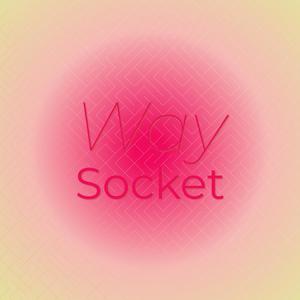 Way Socket