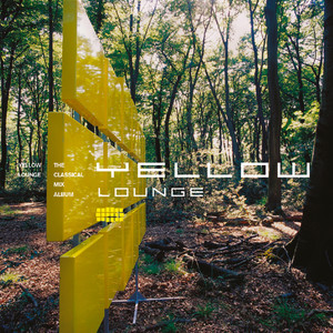 Sinfonia concertante for Violin, Viola and Orchestra in E flat, K.364 - 3. Presto (Excerpt)