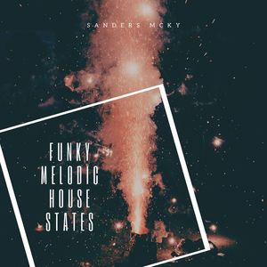 Funky Melodic House States (Original Mix)