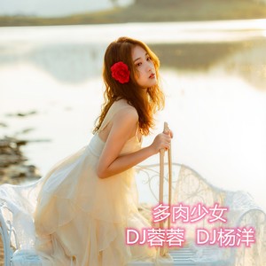 过一天算一天 (DJ版)