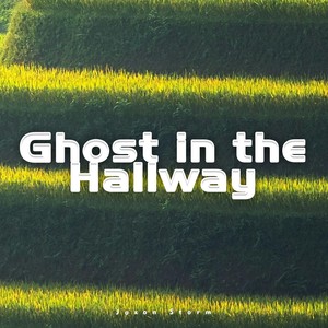 Ghost in the Hallway