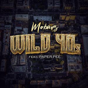 Wild 40s (feat. Paper Pee) [Explicit]