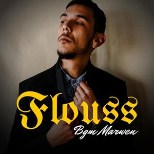 Flouss