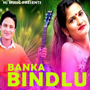 Banka Bindlu