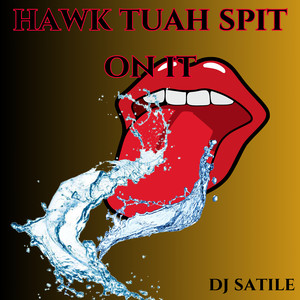 Hawk Tuah Spit on It