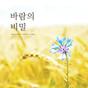 바람의 비밀 (Secret of the Wind)