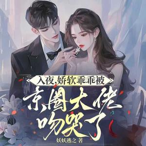 入夜344 只能爱到这里了 (DJ长音频)封面