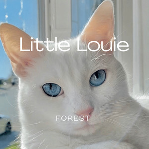 Forest - Little Louie