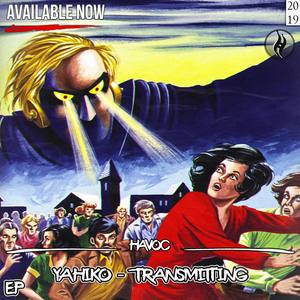 TRANSMITTING(VIP)