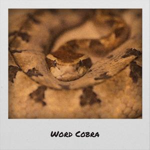 Word Cobra