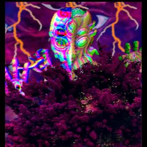 for aquatic minds... (interlude) (Explicit)