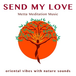 Meditation: Sunset in the Forest