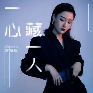 一心藏一人 (DJ默涵版)