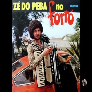 Zé do Peba 1980