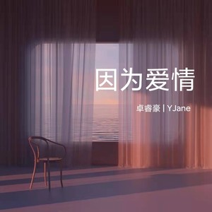 因为爱情
