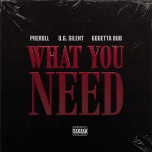 What You Need (Explicit)